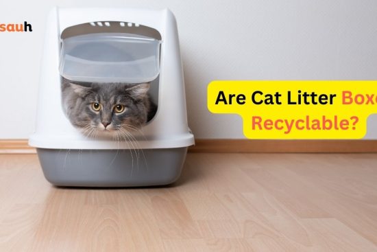 Are Cat Litter Boxes Recyclable?